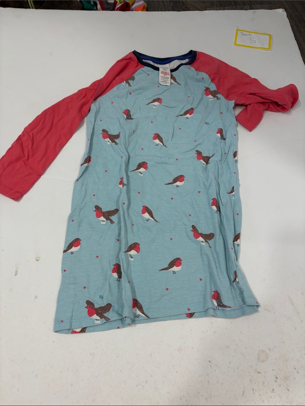 Girls Long-Sleeve Robin Print Nightgown in Light Blue and Coral